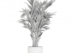 decorative palm in a flowerpot 693 3D Model