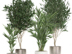 растения в черном горшке для интерьера 695 3D Модель