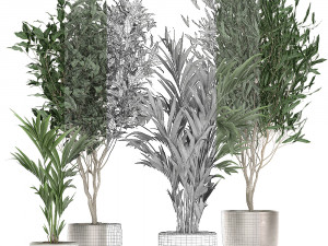 plants in a black pot for the interior 695 Modelo 3D