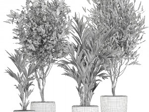 plants in a black pot for the interior 695 Modelo 3D