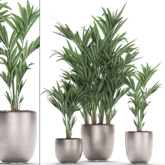 decorative palm in a flowerpot 696 3D Модель .c4d .max .obj .3ds .fbx .stl .blend 
