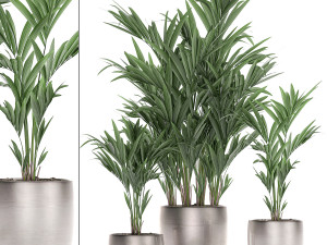 decorative palm in a flowerpot 696 3D Model
