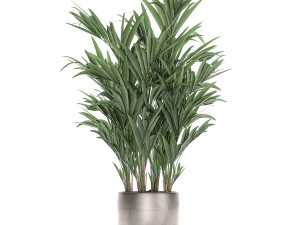 decorative palm in a flowerpot 696 3D Модель