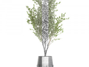 tree in a black pot for the interior 697 Modèle 3D