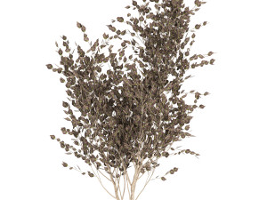 tree in a black pot for the interior 699 3D 模型