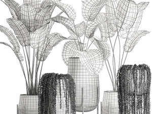 houseplants in a black pot for the interior 700 3D 모델