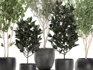 trees in a black pot for the interior 701 Modelo 3D