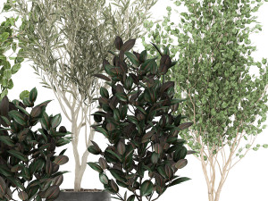 trees in a black pot for the interior 701 Modelo 3D