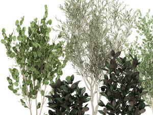 trees in a black pot for the interior 701 Modelo 3D