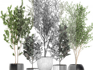 trees in a black pot for the interior 701 Modelo 3D