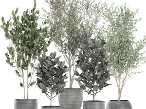 trees in a black pot for the interior 701 Modelo 3D