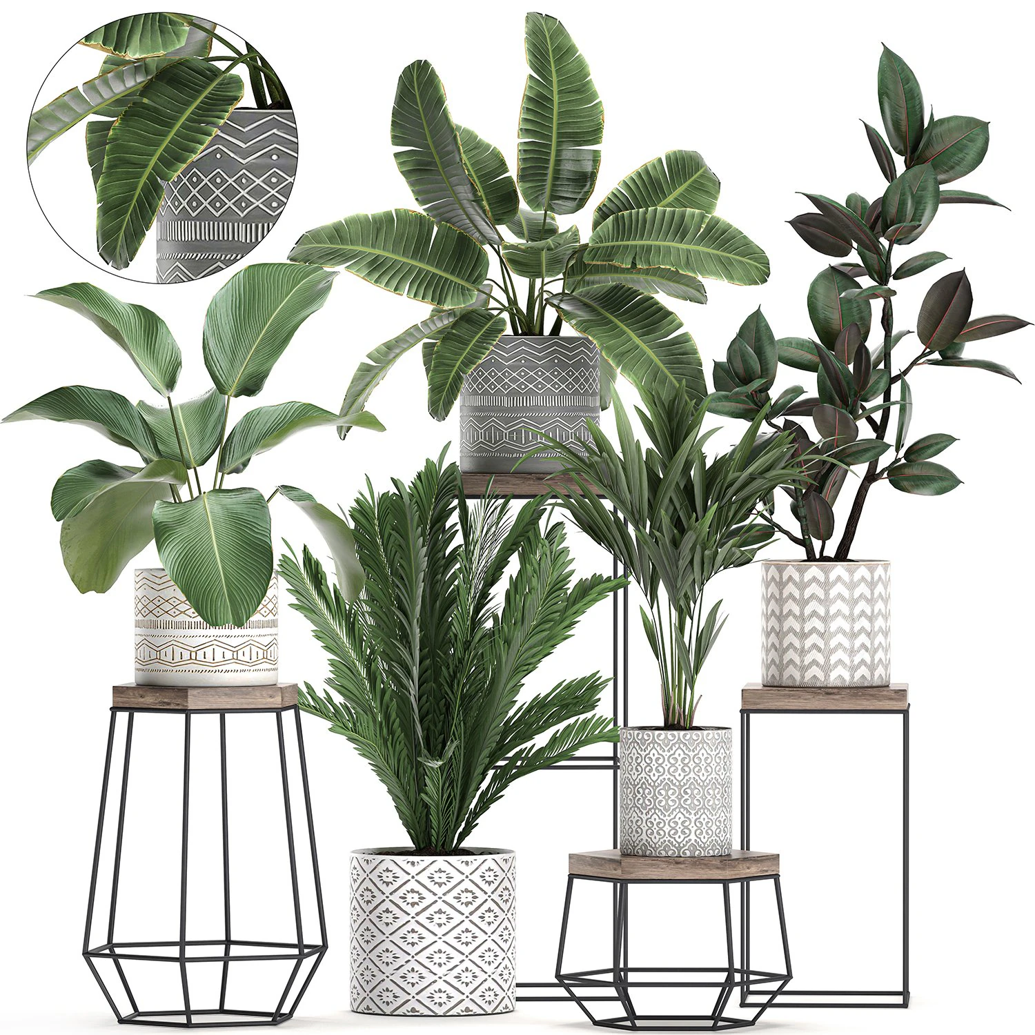 plantas de casa em vaso para interior 702 Modelo 3D .c4d .max .obj .3ds .fbx .stl .blend 