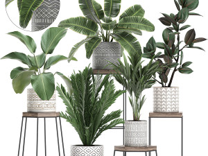 houseplants in a pot for the interior 702 Modello 3D