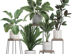 plantas de casa em vaso para interior 702 Modelo 3D