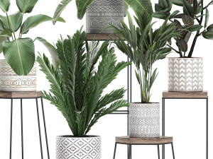 houseplants in a pot for the interior 702 Modelo 3D