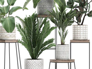 plantas de casa em vaso para interior 702 Modelo 3D