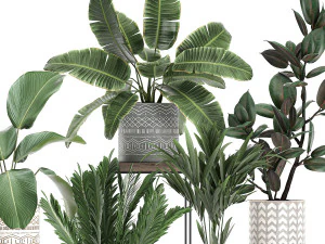 plantas de casa em vaso para interior 702 Modelo 3D