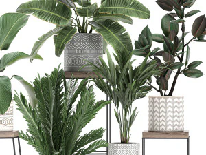 plantas de casa em vaso para interior 702 Modelo 3D
