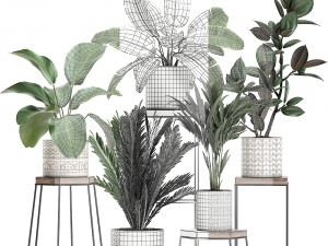 houseplants in a pot for the interior 702 Modelo 3D