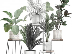 plantas de casa em vaso para interior 702 Modelo 3D