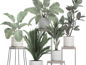 houseplants in a pot for the interior 702 Modelo 3D