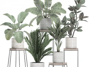 plantas de casa em vaso para interior 702 Modelo 3D