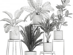 houseplants in a pot for the interior 702 Modelo 3D