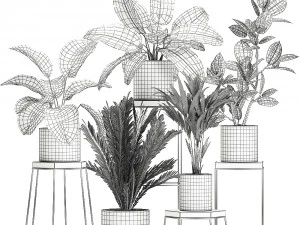 plantas de casa em vaso para interior 702 Modelo 3D
