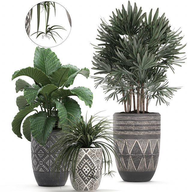 houseplants in a pot for the interior 703 Modelo 3D .c4d .max .obj .3ds .fbx .stl .blend