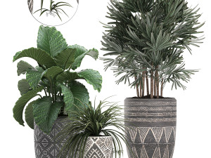 houseplants in a pot for the interior 703 3D मॉडल