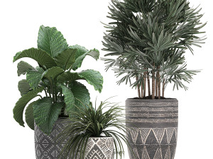 houseplants in a pot for the interior 703 Modelo 3D