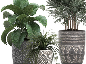 houseplants in a pot for the interior 703 Modelo 3D
