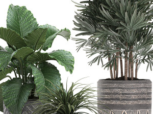 houseplants in a pot for the interior 703 Modelo 3D