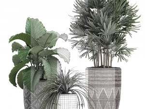 houseplants in a pot for the interior 703 Modelo 3D