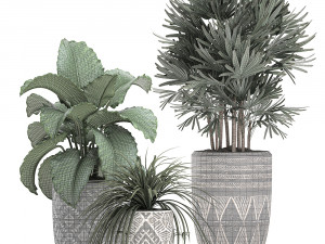 houseplants in a pot for the interior 703 Modelo 3D