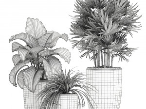 houseplants in a pot for the interior 703 Modelo 3D