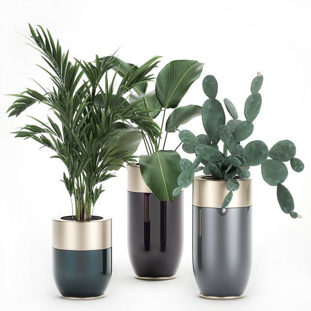 houseplants in a luxury pot for the interior 704 Model 3D .c4d .max .obj .3ds .fbx .stl .blend