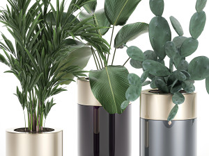 houseplants in a luxury pot for the interior 704 Model 3D