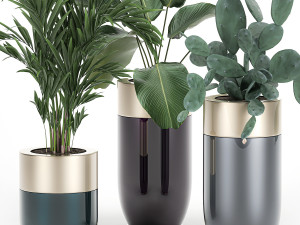 houseplants in a luxury pot for the interior 704 Model 3D