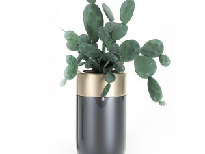 houseplants in a luxury pot for the interior 704 Model 3D
