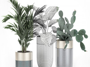 houseplants in a luxury pot for the interior 704 Model 3D