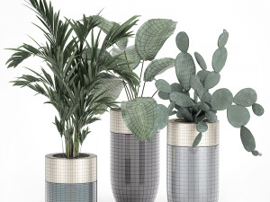 houseplants in a luxury pot for the interior 704 Model 3D