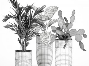 houseplants in a luxury pot for the interior 704 Model 3D