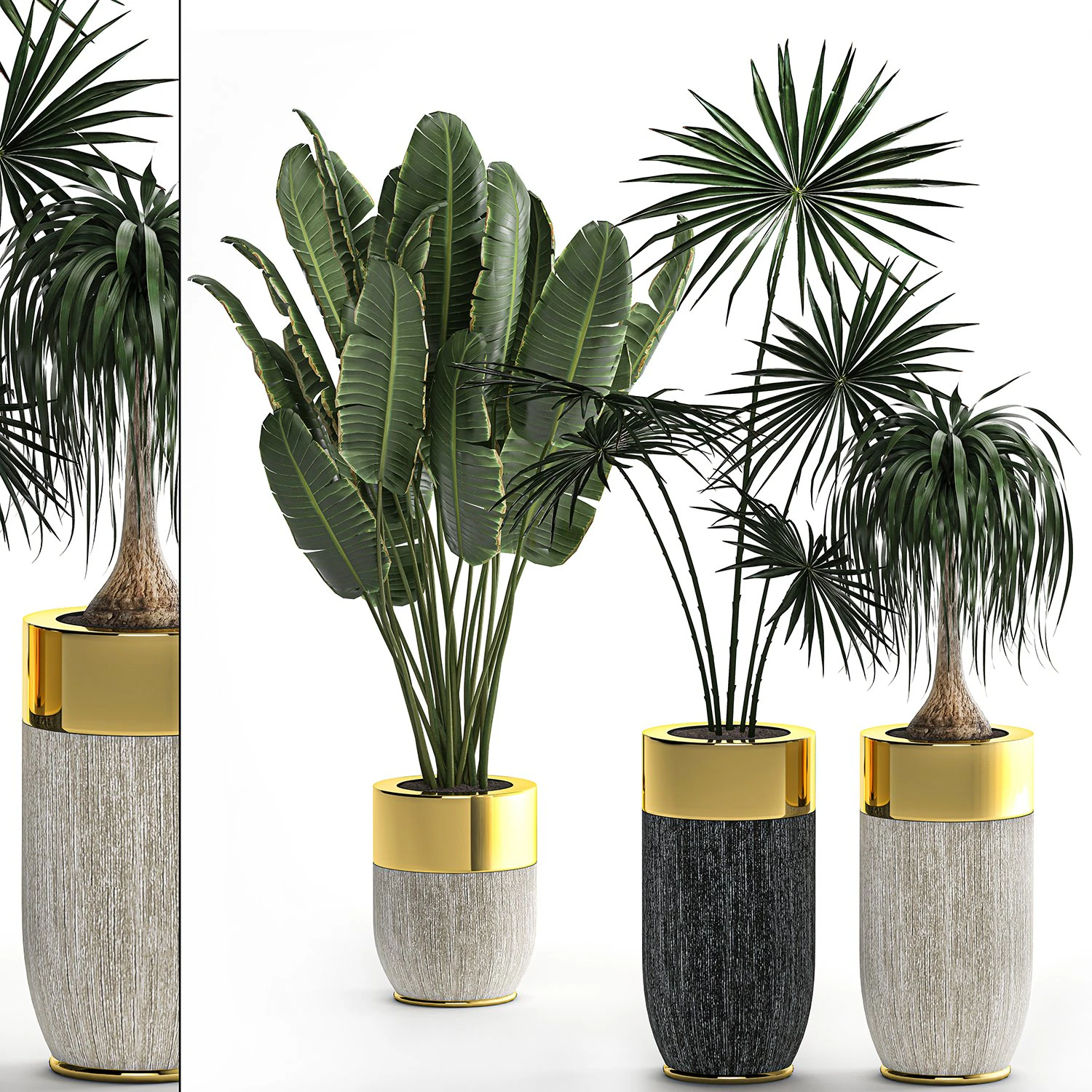 houseplants in a luxury pot for the interior 705 3D Model .c4d .max .obj .3ds .fbx .stl .blend 