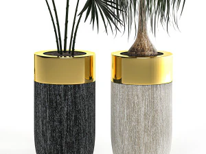 houseplants in a luxury pot for the interior 705 3D Model