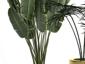 houseplants in a luxury pot for the interior 705 3D Model