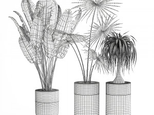 houseplants in a luxury pot for the interior 705 Modelo 3D