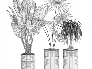 houseplants in a luxury pot for the interior 705 3D Model