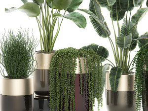 houseplants in a luxury pot for the interior 706 Modelo 3D