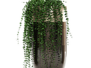 houseplants in a luxury pot for the interior 706 Modelo 3D